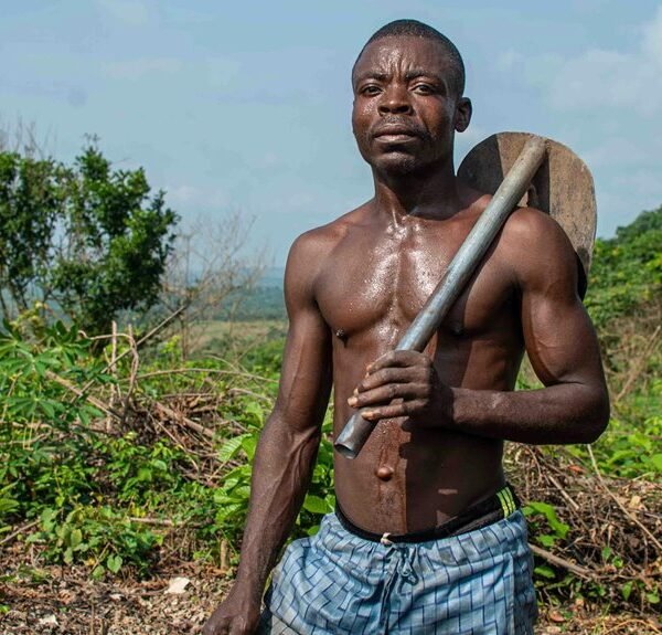 empower your digital growth