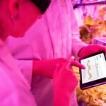 enhance growth with digital tools