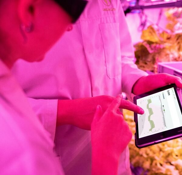 Maximize Your Growth 944189241 Digital Tools